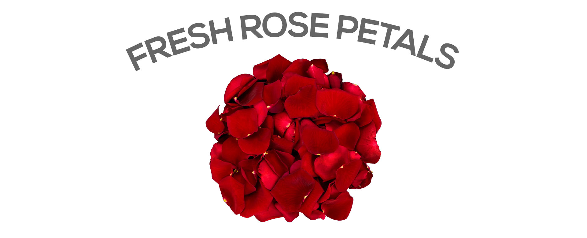 Send fresh rose petals