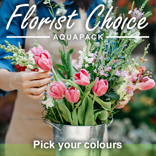 Seasonal Florist Choice Bouquet in Aquapack