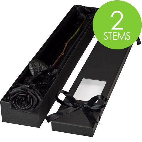 2 Luxury Black Roses