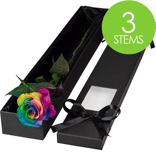 3 Luxury Happy (Rainbow) Roses