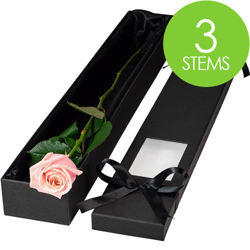 3 Luxury Pink Roses