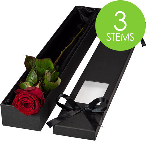 3 Luxury Red Roses