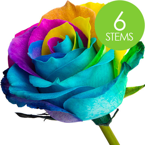 6 Happy (Rainbow) Roses