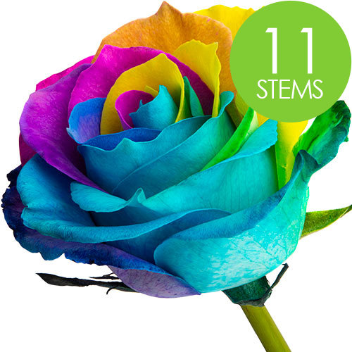 11 Happy Rainbow Roses
