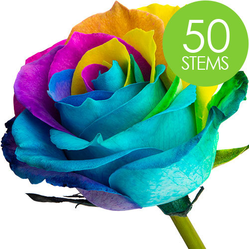 50 Happy (Rainbow) Roses