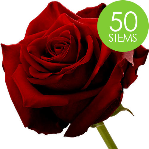 50 Red Naomi Roses