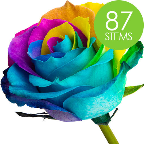87 Happy Rainbow Roses