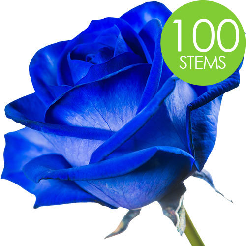 100 Blue (Dyed) Roses