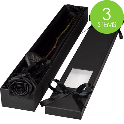 3 Luxury Black Roses