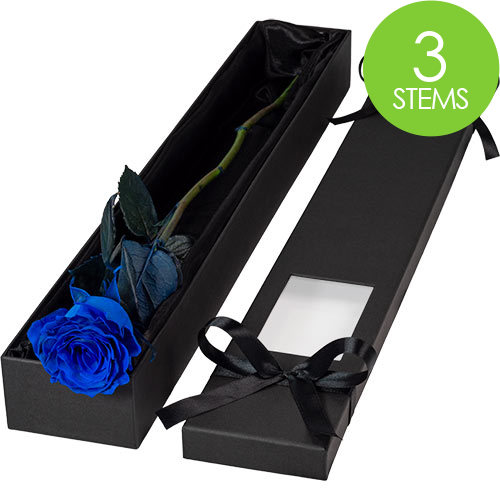 3 Luxury Blue Roses