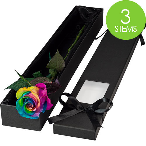 3 Luxury Happy Rainbow Roses