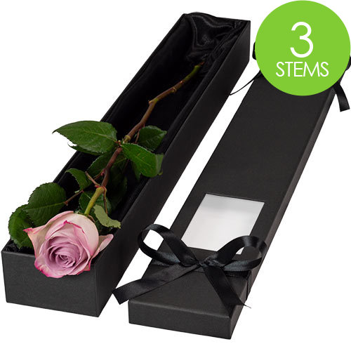 3 Luxury Lilac Roses