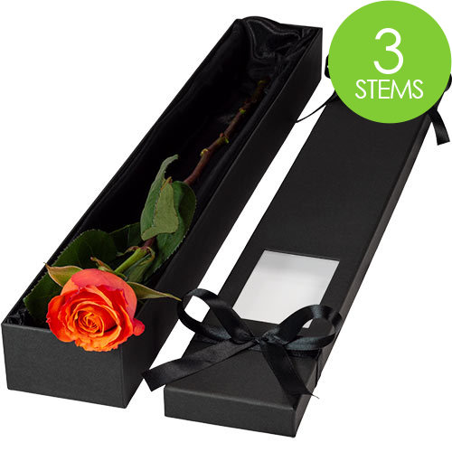 3 Luxury Orange Roses
