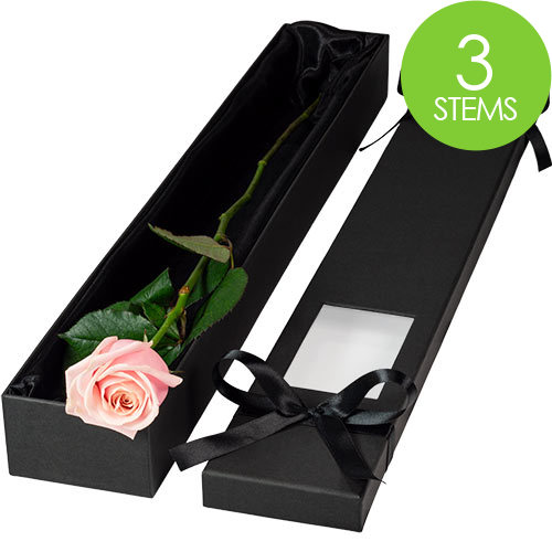 3 Luxury Pink Roses