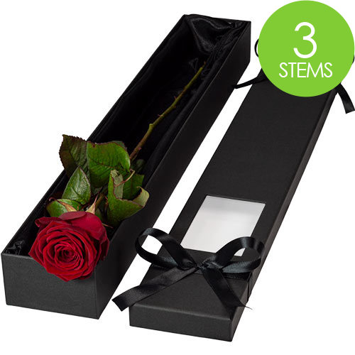 3 Luxury Red Roses
