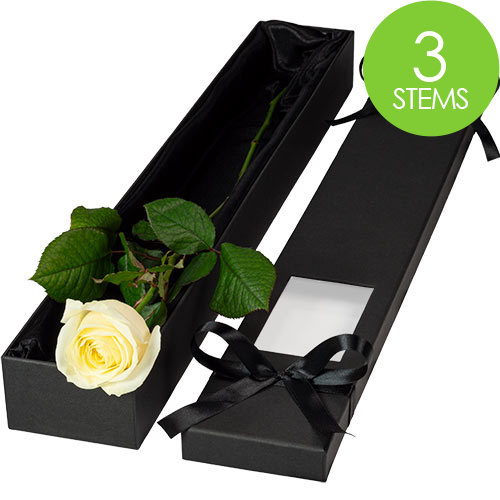 3 Luxury White Roses