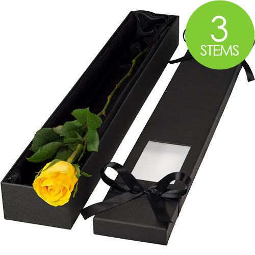 3 Luxury Yellow Roses