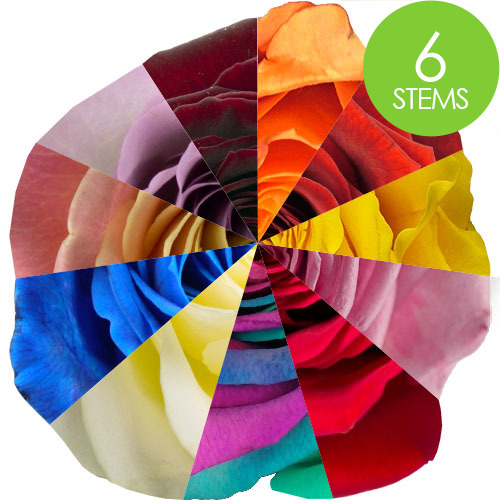 6 Customised Roses