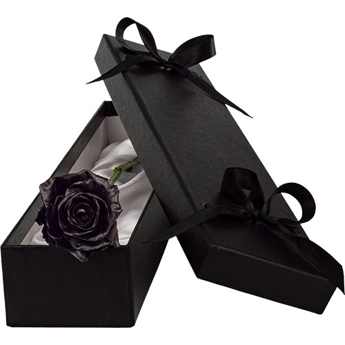 Luxury Single Black Rose