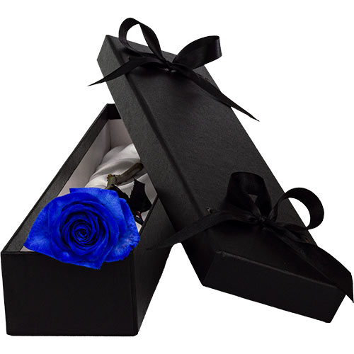 Luxury Single Blue Rose