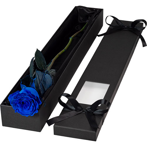 Luxury Single Blue Rose