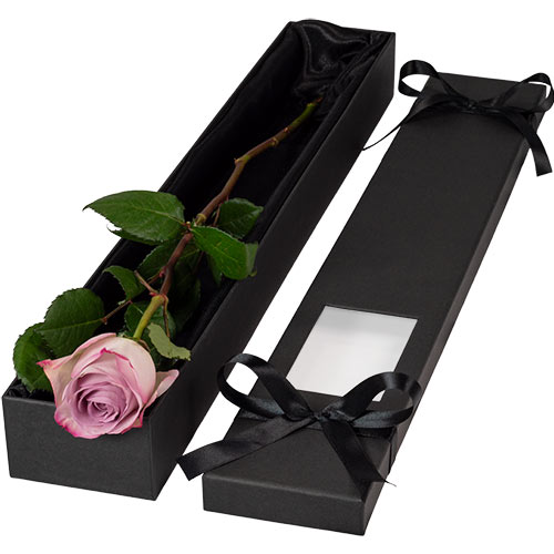 Luxury Single Lilac Rose