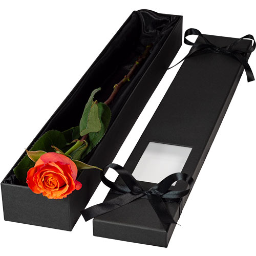Luxury Single Orange Rose
