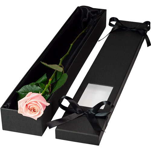 Luxury Single Pink Rose