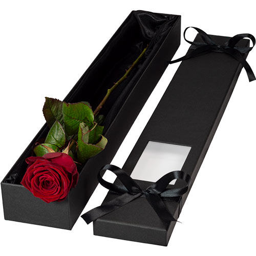 Luxury Single Red Rose