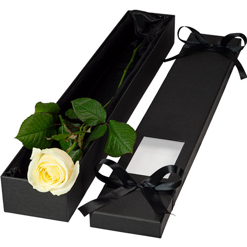 Luxury Single White Rose