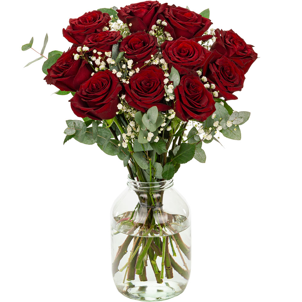 12 Red Naomi Roses