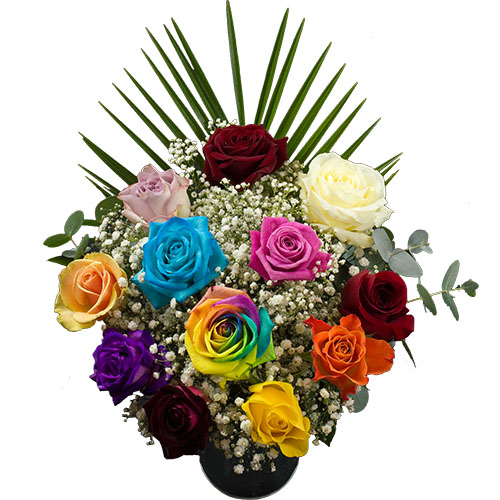 12 Mixed Roses