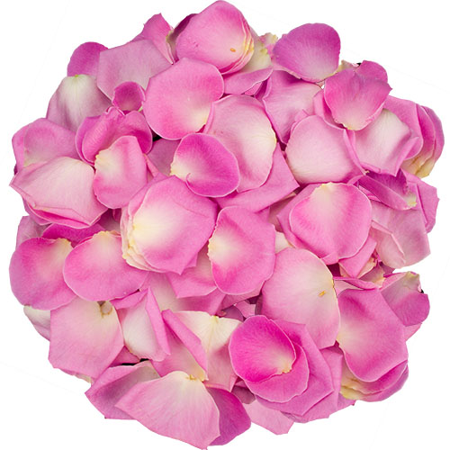 A box of pink rose petals