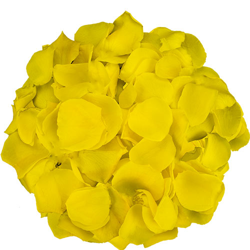 A box of yellow rose petals
