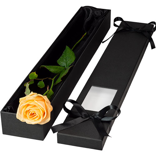 Luxury Single Peach Rose