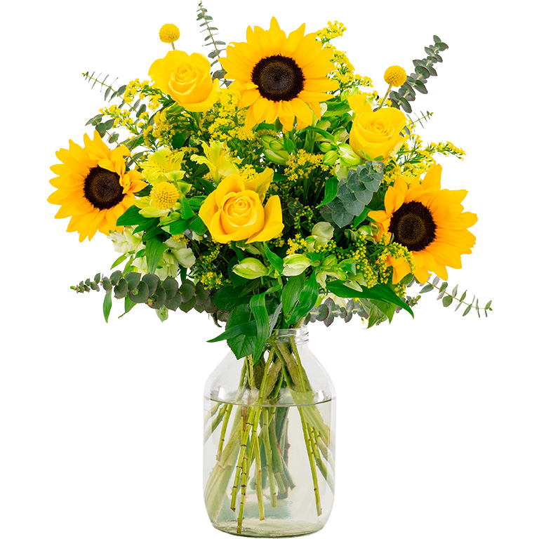 The Sunshine