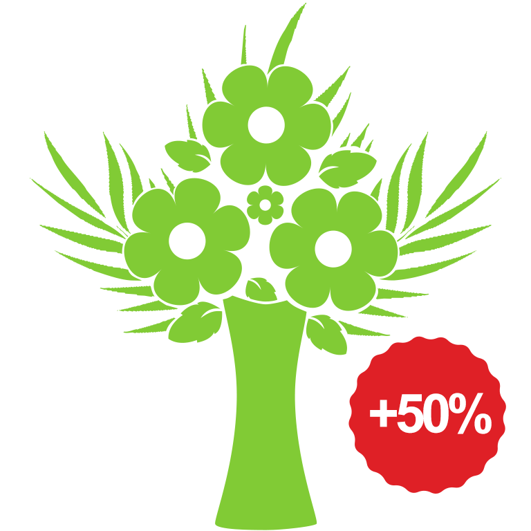 Flower bouquet 50% more flowers presentation